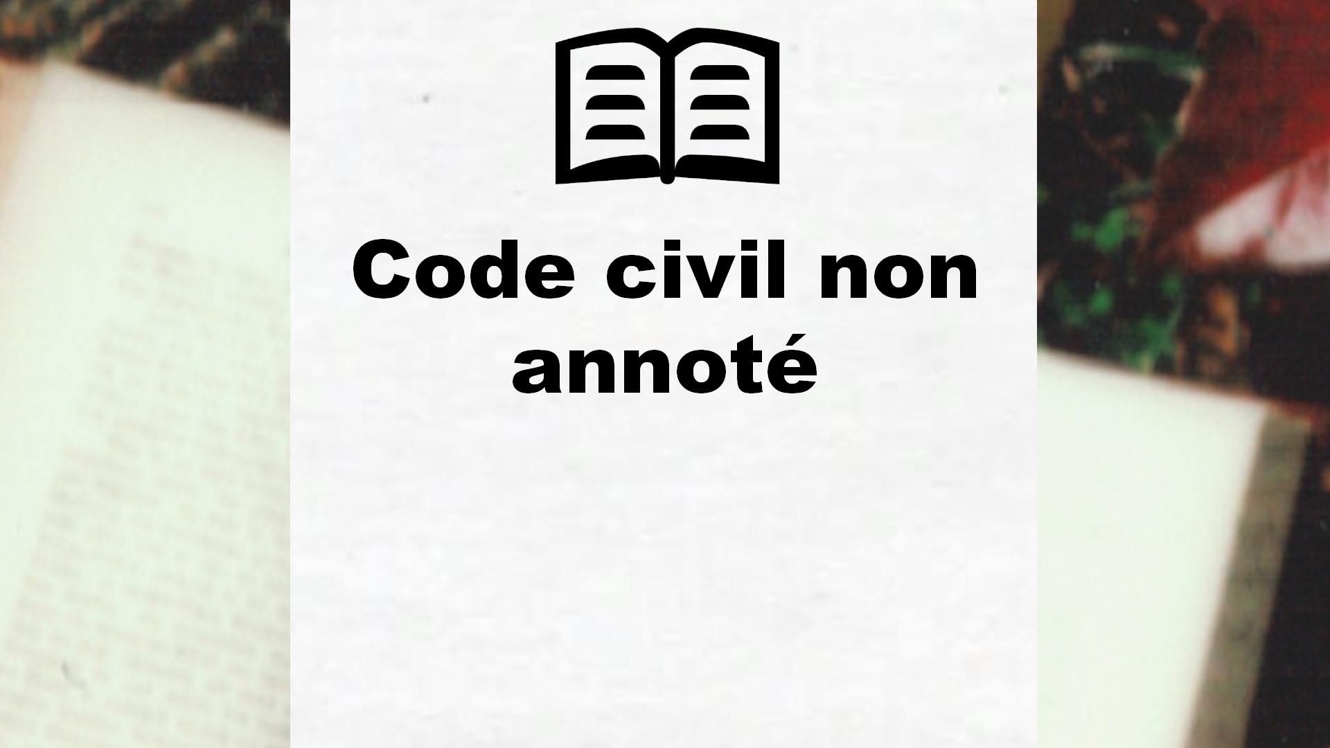 Code civil non annoté – Critique